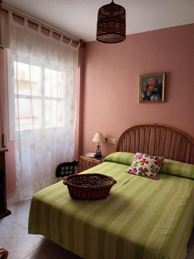 Apartament Vela Mar Alta *